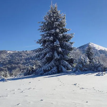Apartman Standard Lux U Kraljevim Cardacima Kopaonik Exteriör bild
