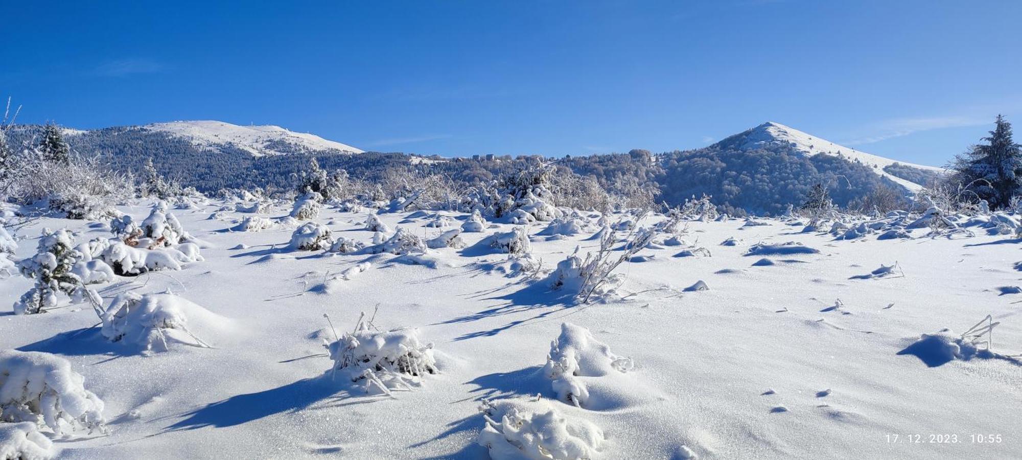 Standard Lux U Kraljevim Cardacima * Kopaonik