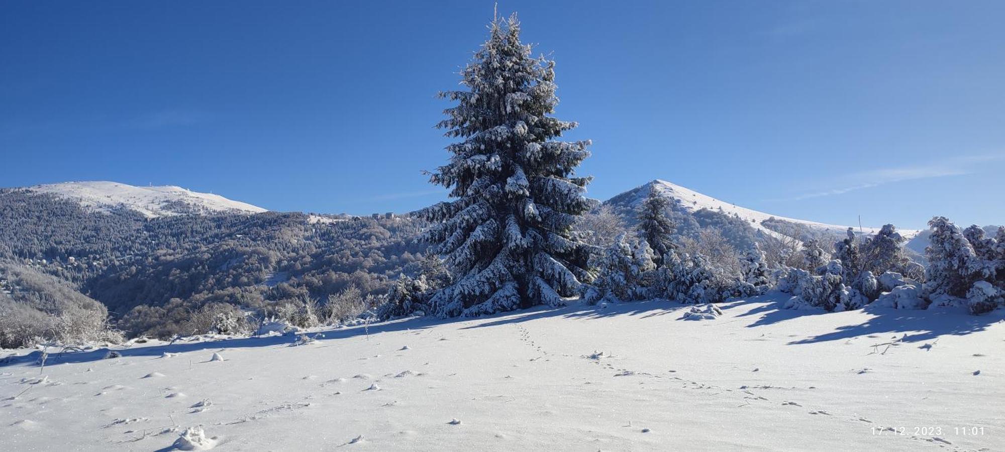 Standard Lux U Kraljevim Cardacima Lägenhet Kopaonik